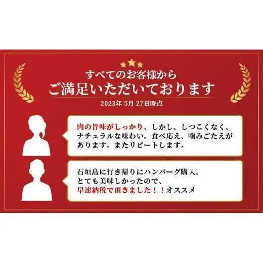 石垣牛 ハンバーグ セット (100g×10個)＜2026年5月発送＞ | 国産 石垣牛100% 沖縄 石垣島産 高級 黒毛和牛 ビーフ ハンバーグセット