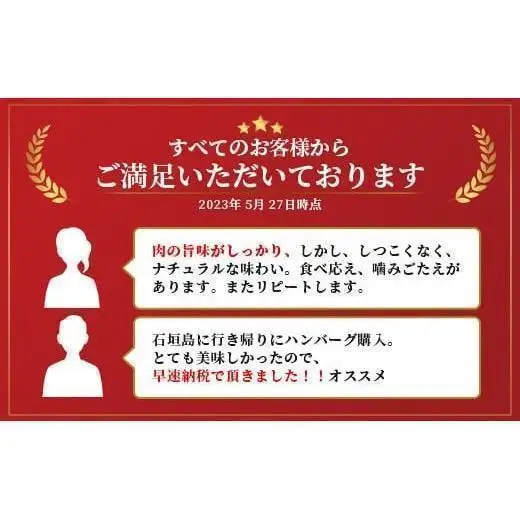 石垣牛 ハンバーグ セット (100g×10個)