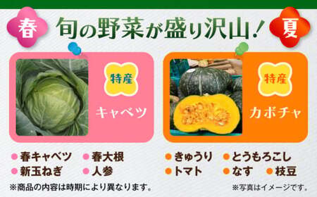 【全3回定期便】よこすか野菜セット すかなボックス／野菜 旬 セット  【JAよこすか葉山】[ASCB002]