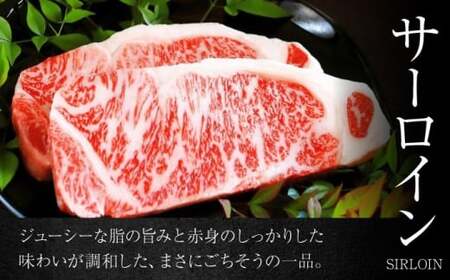 葉山石井牛 サーロイン200g×4 ／ サーロイン[ASCD002]