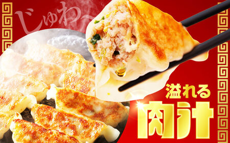 餃子 60個 【加登屋食堂】中華 冷凍餃子 お取り寄せ[MGQ007]