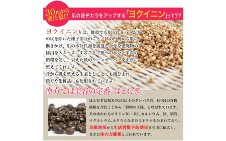粉末食べるはとむぎ130ｇ×4個 〈皆様の美容と健康維持にお役立ち〉