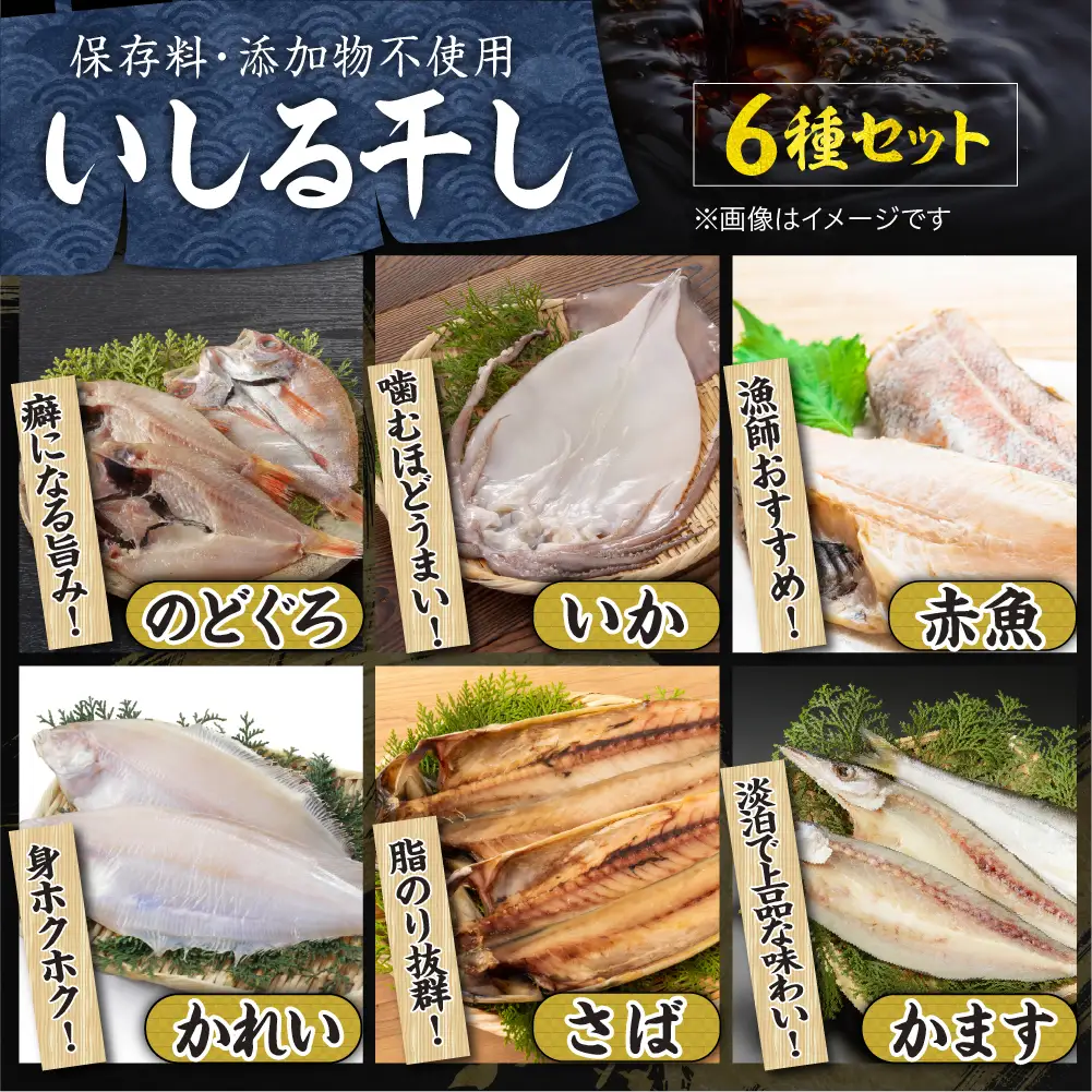 いしる干し（干物、冷凍）セット（中） wa003  いしる干し　干物
