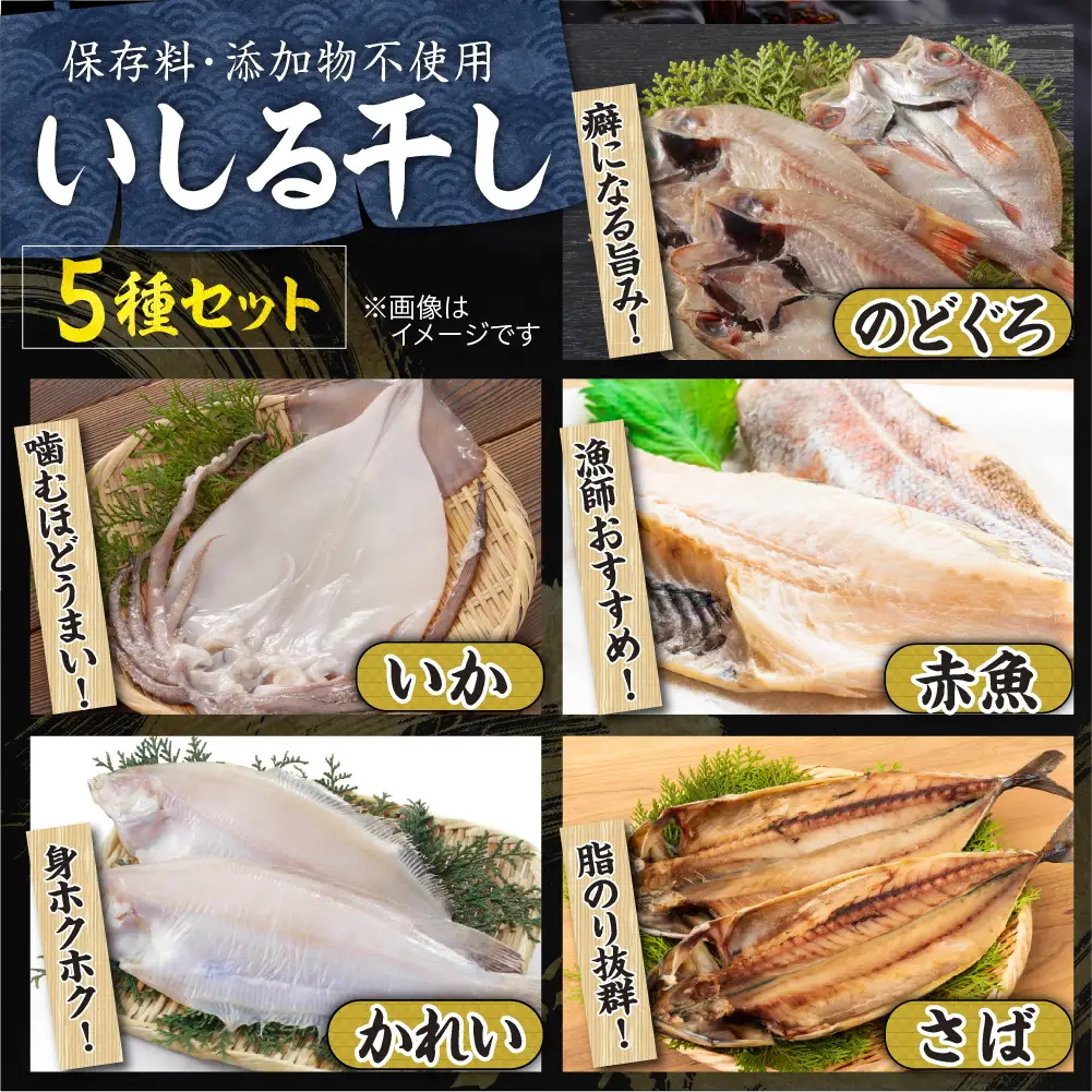いしる干し（干物、冷凍）セット（大） wa003  いしる干し　干物