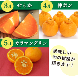 【先行予約】【全7回】 柑橘定期便｜  興居島みかん あいか はれひめ いよかん温州 温州みかん 愛果 愛果28号 紅まどんな と同品種 伊予柑 せとか 神ポン カラマンダリン 不知火 柑橘 定期便 取り寄せ 甘いみかん ギフト 愛媛県産 ミカン みかん mikan 蜜柑 フルーツ 果物 くだもの お取り寄せ 産地直送 数量限定 人気 おすすめ 送料無料 贈答 ギフト 愛媛県 松山市【SSK023】