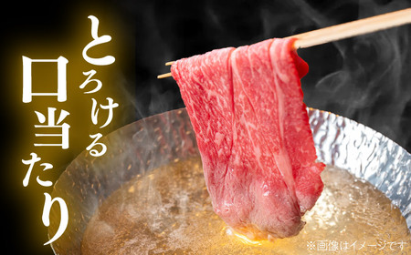 くまもと 黒毛和牛 和王 肩ロース しゃぶしゃぶ用 約400g（約400g×1P）ロースしゃぶしゃぶ[AYBR028]
