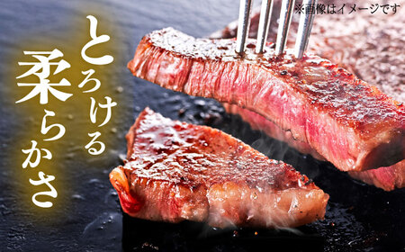 くまもと 黒毛和牛 和王 肩ロース ステーキ 約600g（約200g×3枚）ロースステーキ[AYBR032]