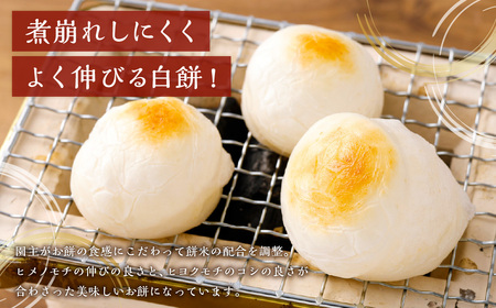杵つき丸白餅 50g×10個入り 2袋 岡山県美咲町産 ／ 計約1kg 計20個 丸白餅  【6月-9月発送不可】