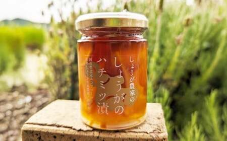 しょうがのはちみつ漬け 2個セット 140g×2 計280g ／ 生姜 しょうが ジンジャー 野菜 蜂蜜 はちみつ ハニー 