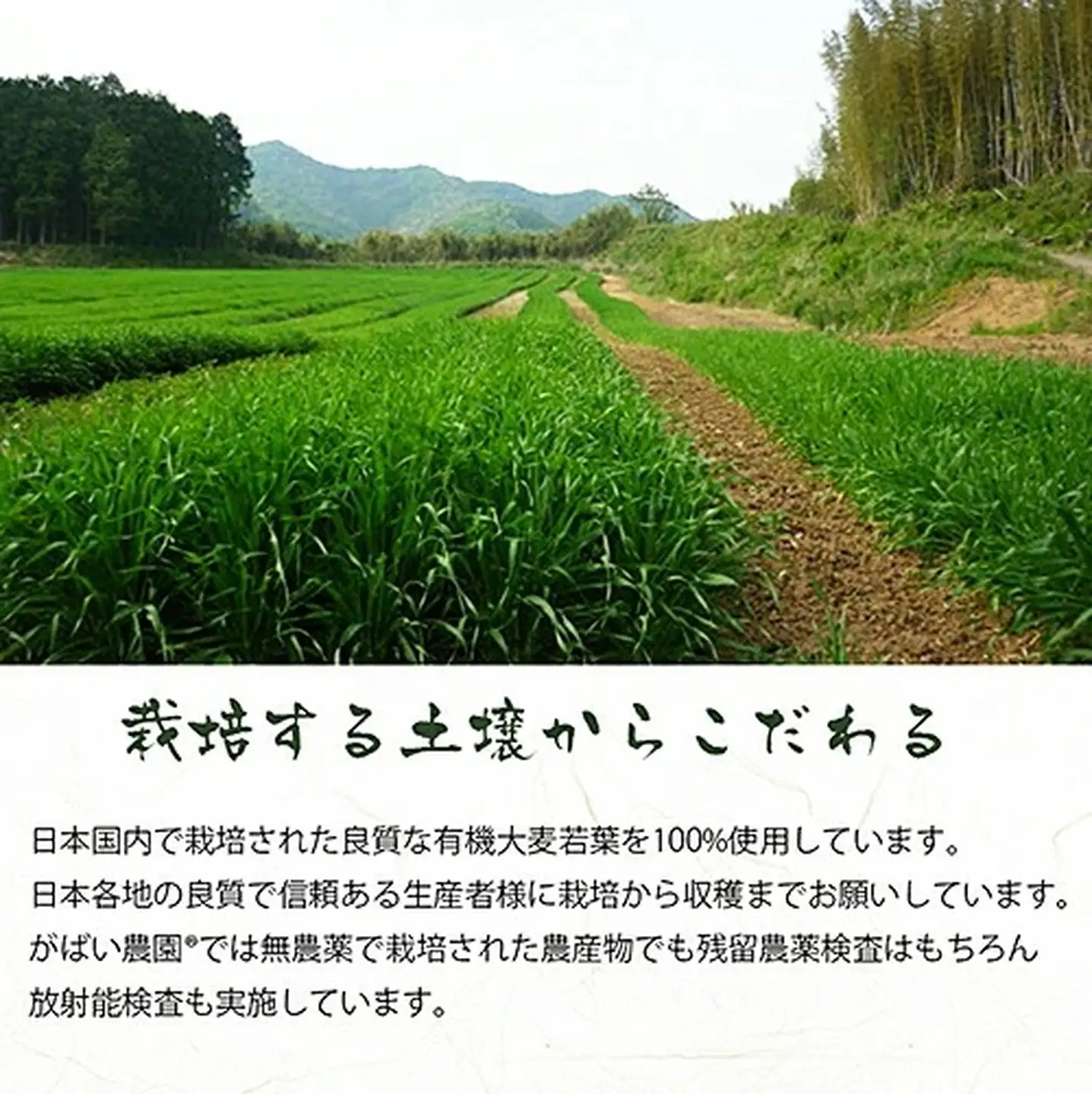 有機栽培 大麦若葉青汁（2個セット）：B120-014