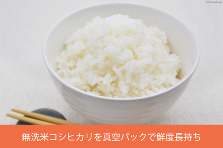 米 無洗米 コシヒカリ 真空パック 300g [お米食堂 富山県 舟橋村 57050240]