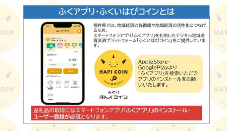 「ふくいはぴコイン」福井市ふるさと納税ポイント【6,000円分】 [B-198002] / 選べる金額 デジタル地域通貨 ホテル 観光 レジャー PAY アプリ オンライン キャッシュレス スマホ ポイント スマホ 便利 簡単 デジタル 支払い 地域通貨 送料無料