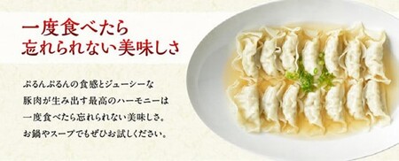 【令和8年7月発送分】合計104個！さんきょうみらい豚ぎょうざ(焼餃子＋水餃子)セット【 ふるさと納税餃子 ふるさと納税人気 ふるさと納税餃子 焼餃子 ぎょうざ  水ぎょうざ 】