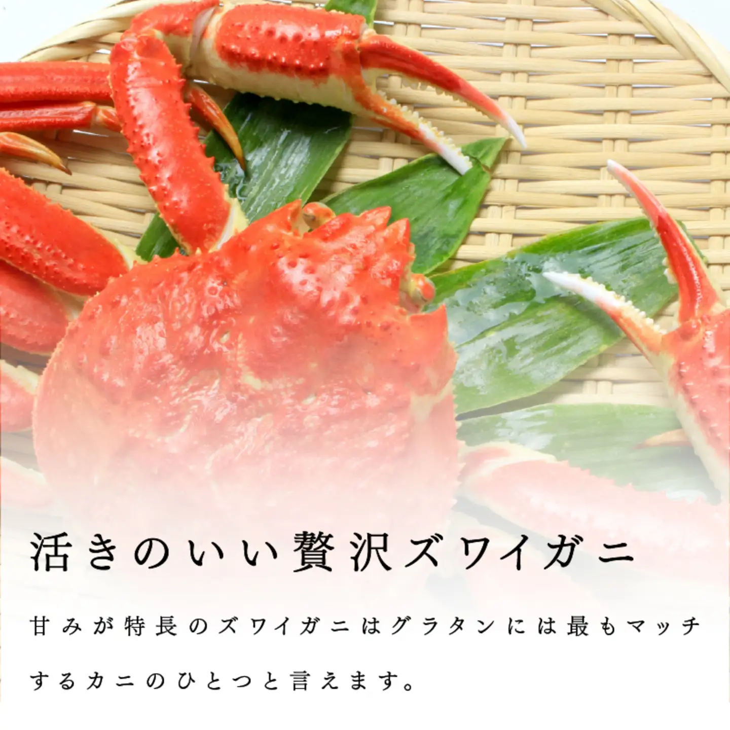 メゾン・ド・レトワール 濃厚かにグラタン ３個セット
