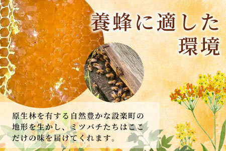 国産純粋 百花蜂蜜 大瓶 320g かなちゃんはちみつ 非加熱 ハチミツ はちみつ 蜂蜜 無添加 国産 天然 愛知県産 -330