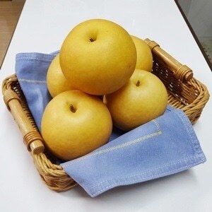 【先行予約 数量限定】 2026年度産 新興 梨 約5kg (6～14玉入り) 先行予約