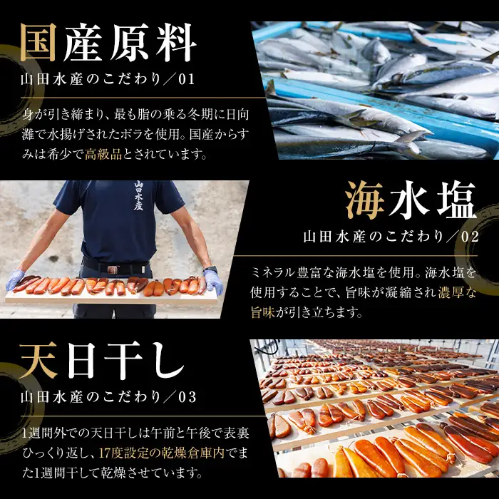 からすみ (1本) カラスミ ボラ 珍味 魚卵 冷凍 おつまみ 大分県 佐伯市 国産【HX001】【山田水産(株)】