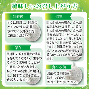 【先行予約】 赤肉 メロン 2玉 