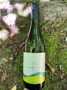 明野のワイン いろいろ 4本セット 受賞作品込 ワイン セット 白ワイン ロゼ 赤ワイン 4種類 シャンクレール モンデ酒造 御勅使川ワイナリー 720ml 750ml お酒 アルコール 母の日 父の日 明野 ブドウ [h062]