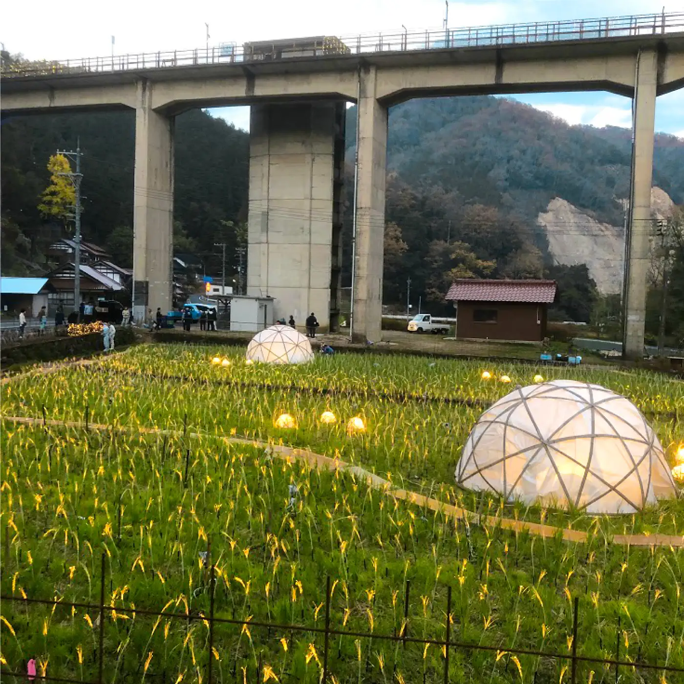 純米酒 INAKAイルミ 宇都井 稲穂の灯り 五百万石 70 720ml　池月酒造