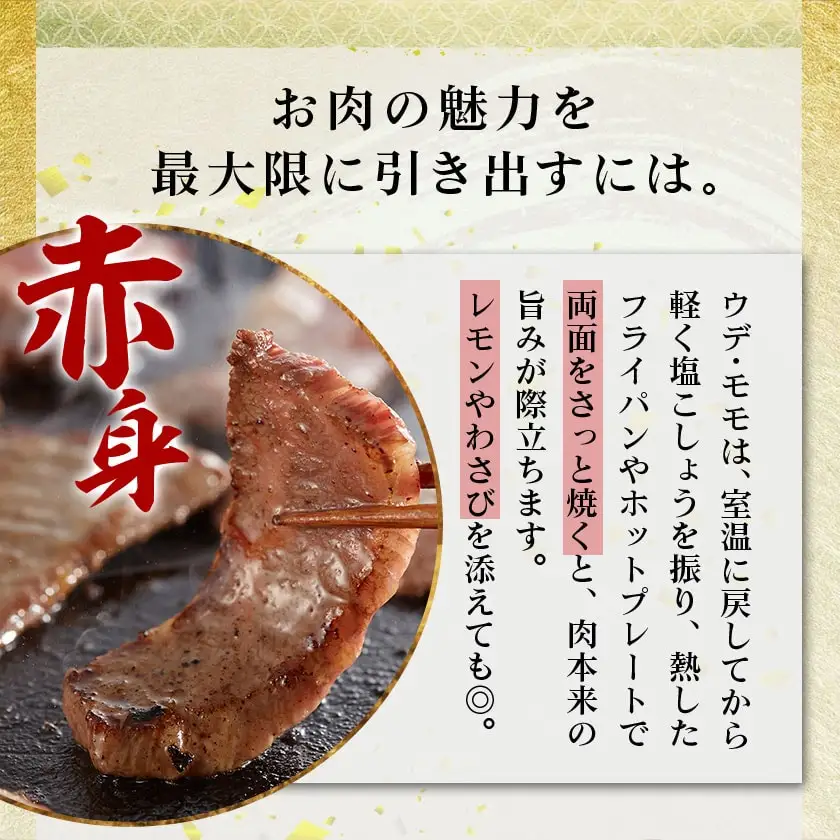 宮崎牛【赤身&霜降り】焼肉セット_16-J701_(都城市) 宮崎県産 宮崎牛 ウデ モモ バラ 焼肉用 600g