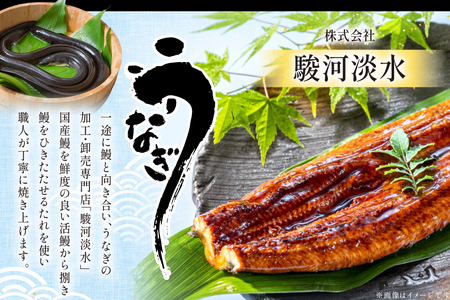 うなぎ 静岡県産 鰻2尾 約160g×2 蒲焼1尾 白焼1尾 [駿河淡水株式会社 静岡県 吉田町 22424653]