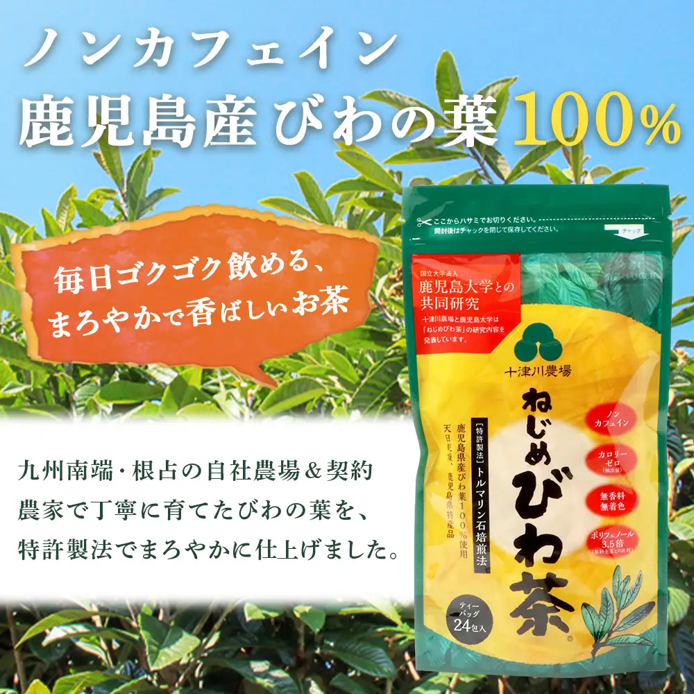 【定期便 全12回】≪12ヶ月連続で毎月お届け≫ 鹿児島県産 ねじめびわ茶 ティーバック ≪1回あたり(24包入×1袋) ≫  ノンカフェイン  TO-3-NP| 国産 お茶 健康茶 びわ茶 ポリフェノール びわの葉 産地直送 ネコポス 鹿児島県 南大隅町 十津川農場
