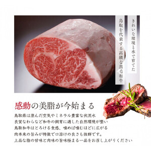 鳥取和牛 サーロインブロック 3kg