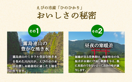 【令和7年産】米 ひのひかり 5kg 九州 霧島 えびの産 ヒノヒカリ 発送直前に精米 農家 直送 お米 おこめ こめ コメ 白米 ふるさと納税 5キロ 九州産 宮崎県産 宮崎県 送料無料