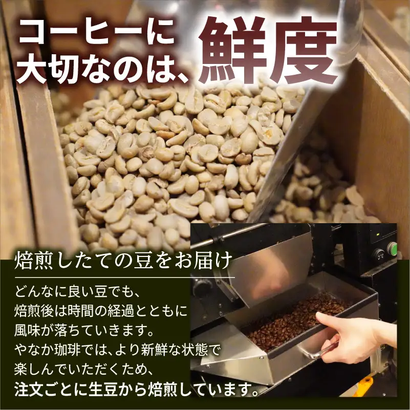 【YANAKA COFFEE】 亀戸ブレンド　500g　コーヒー豆（豆のまま）【kt071-001】ｺｰﾋｰ