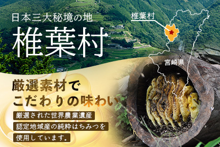【５営業日以内に発送】【椎葉村産のはちみつ】を使用したハニーマスタード！ゴッドマイト 90g × 2個 計 180g | ハニーマスタード マスタード 90g 180g 2個 はちみつ 蜂蜜 粒マスタード 万能ソース 宮崎県 椎葉村 おすすめ 純粋はちみつ | TT-19