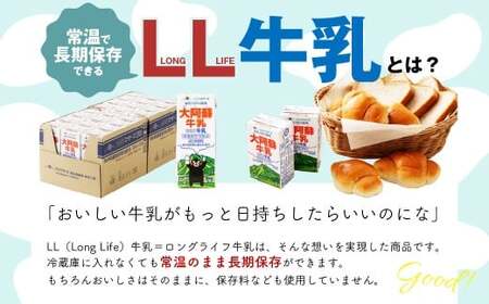 大阿蘇牛乳 200ml×24個入（1箱） 牛乳 ミルク 成分無調整 紙パック パック ロングライフ 長期保存 常温 熊本県 上天草市