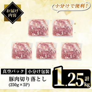 A5-033-A 国産！鹿児島県産豚肉切り落とし真空小分け 250g×5P(計1.25kg)【肉の豊楽】霧島市 豚肉 ぶたにく 豚 小分け 切り落とし 真空パック 切落し 冷凍