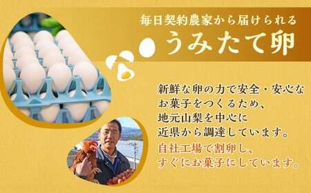 【シャトレーゼ】 ふっくら シュー アイス（バニラ） 【個包装】 18個入 （6個入×3袋） しぼりたて牛乳 ミルキー 