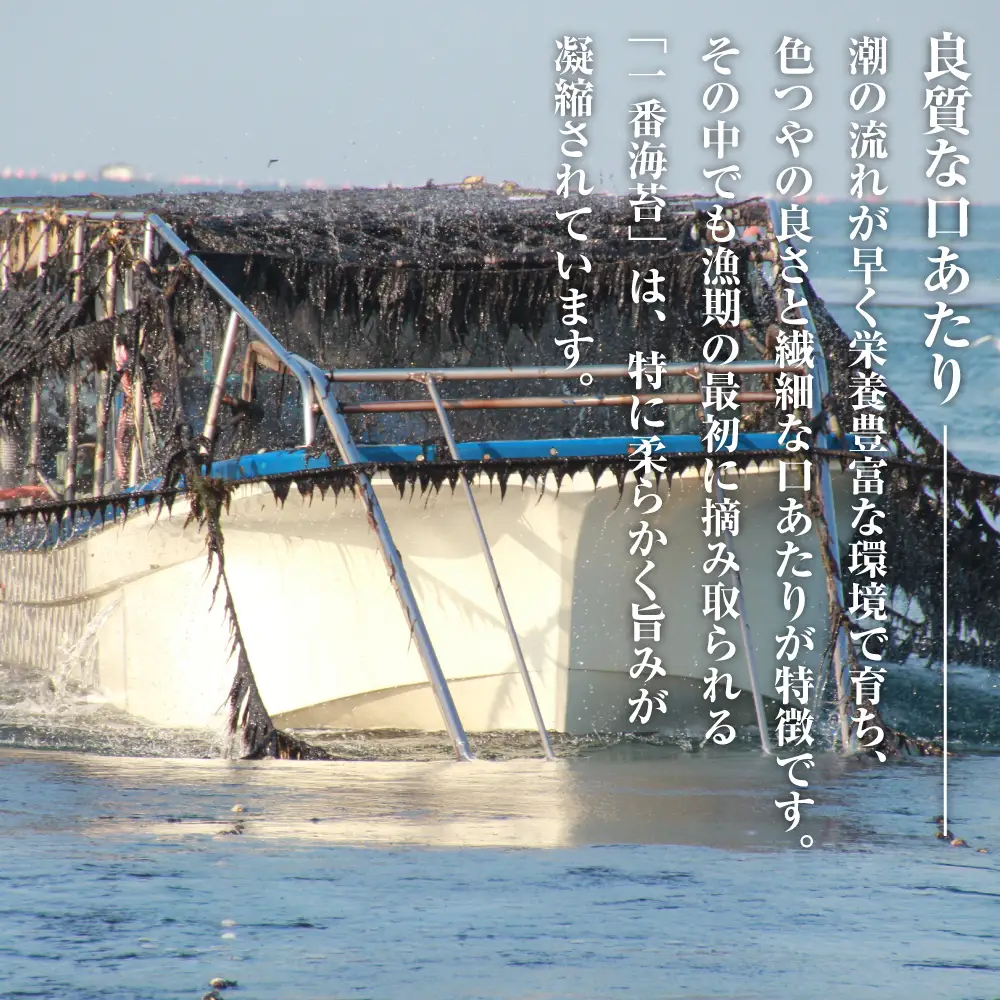 新海苔使用 焼きのり （板のり10枚）×5袋