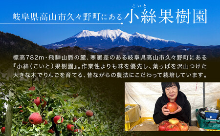飛騨高山のりんごストレートジュース 1L瓶×3本 | 果汁 飛騨りんご リンゴ 林檎 果樹園 じゅーす 飛騨高山 小絲果樹園　SH001
