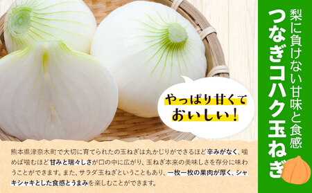 玉ねぎ つなぎコハク玉ねぎ 約10kg《4月中旬-5月中旬出荷》熊本県 葦北郡 津奈木町 つなぎ琥珀玉ねぎプロジェクト 野菜 たまねぎ