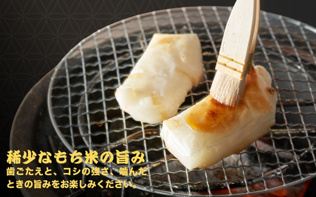 魚沼産こがねもち 切り餅 約3.25kg (約13～14個入×5袋) たかの