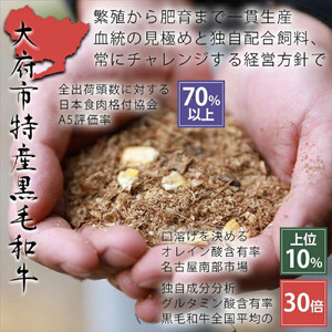 大府特産A5黒毛和牛下村牛特上あかみステーキ　4枚800g入り