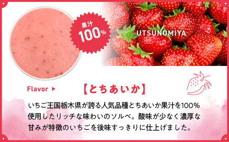 ユアジェラート 宇都宮市×うるま市友 好都市記念 オリジナルジェラート 6個セット｜とちあいか いちご マンゴー きび糖 沖縄 琉球 人気 ジェラート 詰め合わせ アイス スイーツ 果汁100% フルーツ プレゼント ギフト