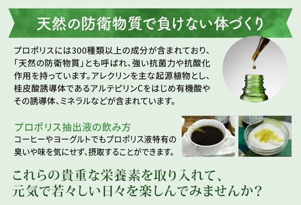 [ 12ヶ月 定期便 ] プロポリスA抽出液 30ml × 12回 液体 健康 ミツバチ フラボノイド アルテピリン フェノール酸類 ミネラル 貴重 自然 厳選 高品質 秋田屋本店