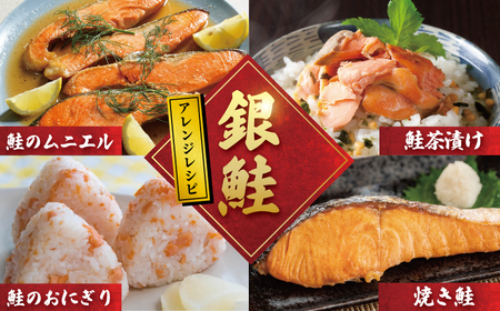 訳あり 銀鮭 1.5kg 銀鮭