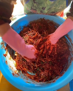 旬野菜で作るうめちゃんの自然派キムチ　おまかせ２種 キムチ 漬物 手作り 自然派 旬野菜 農薬未使用野菜 韓国料理 ご飯のお供 プレゼント 贈答 贈り物 送料無料 山梨県 上野原市