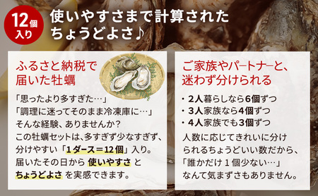 【 3ヵ月 定期便 】 北海道厚岸産 生食用 殻付カキ 3Lサイズ  12個　マルえもん 魚貝類 海の幸 海のミルク 海鮮 国産 北海道産 オイスター つまみ お酒 あて 肴 生牡蠣 メルマガ掲載商品1