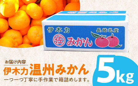 ※【2027年1月より順次発送／先行予約】伊木力温州みかん5kg(ご家庭用、箱入り) / 伊木力 温州みかん みかん ミカン 蜜柑 佐瀬 諫早 多良見 長崎 / 末永果樹園[AHBD003]