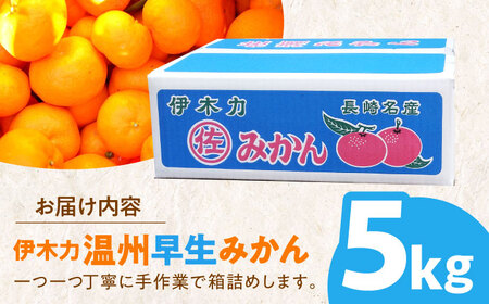 ※【2026年11月より順次発送／先行予約】伊木力温州早生みかん5kg(ご家庭用、箱入り) / 伊木力 温州みかん みかん ミカン 蜜柑 佐瀬 諫早 多良見 長崎 早生　/ 末永果樹園[AHBD004]