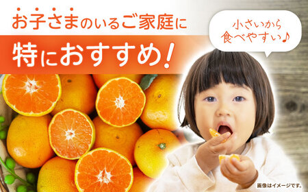 ※【2026年10月下旬より順次発送／先行予約】伊木力みかん(ちび柑) 5kg / みかん s みかんsサイズ ミカン 蜜柑 柑橘 フルーツ ふるーつ 果物 くだもの / 諫早市 / 山野果樹園 [AHCF013]