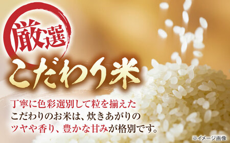 ＼スピード発送／ コシヒカリ 5kg [AQDK001] 白米 こしひかり