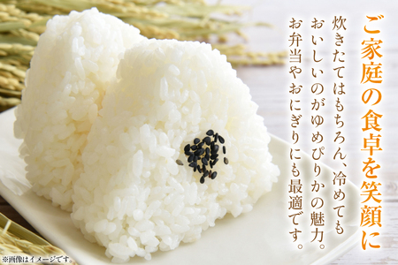 米 ゆめぴりか 5kg 精米 [アキニワファーム 北海道 剣淵町 14656334]