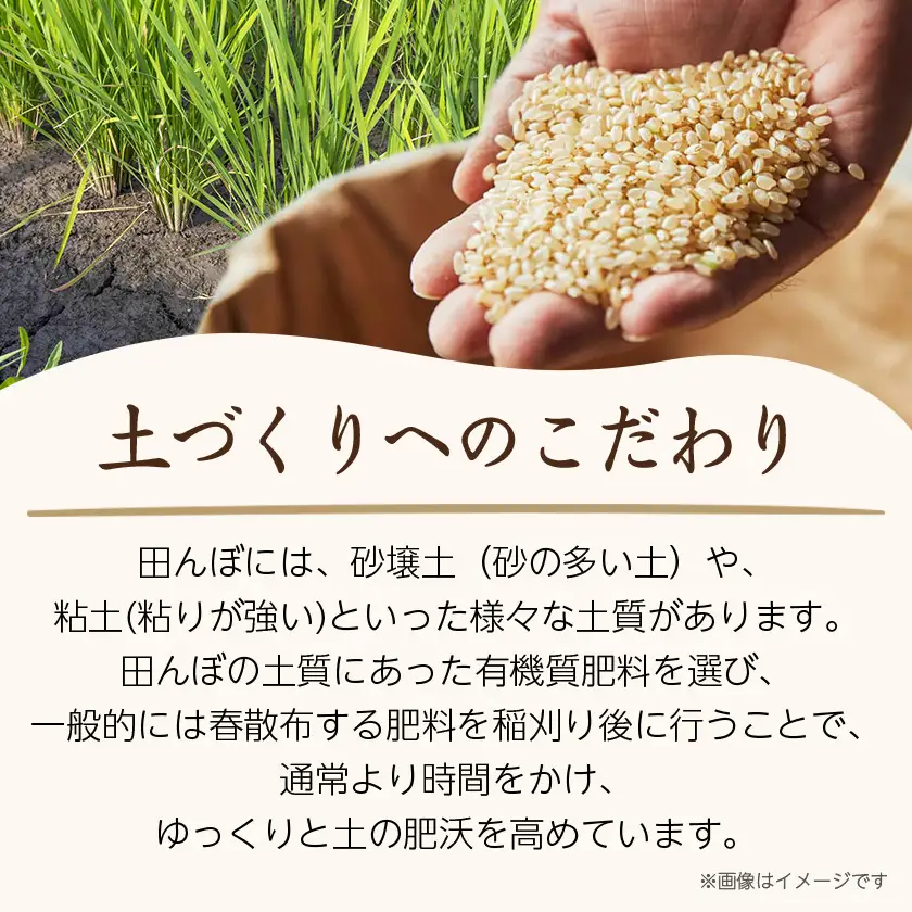 令和7年産　山形県産　雪若丸　玄米　10kg(5kg×2袋)【1660788】